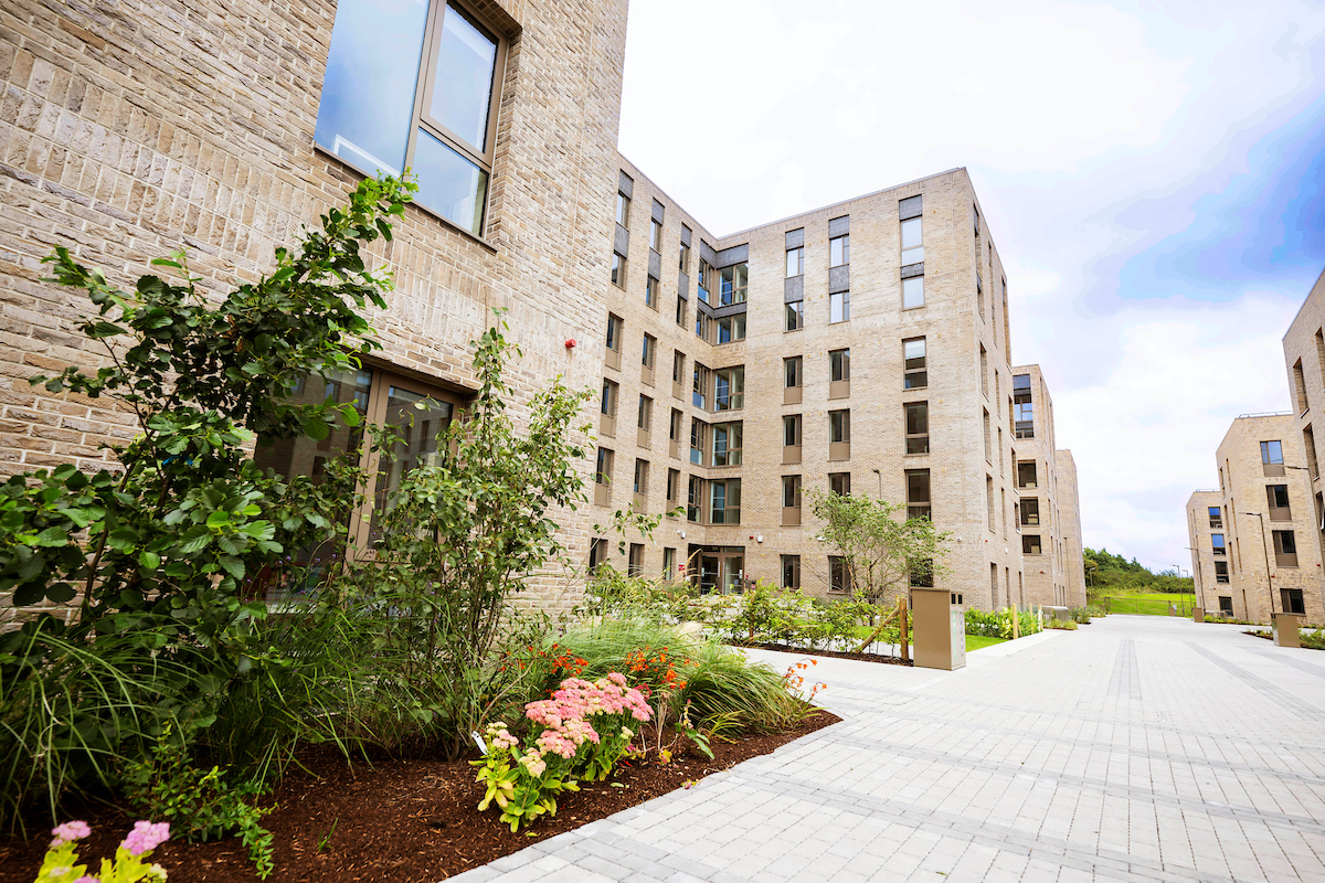 Accommodation Background