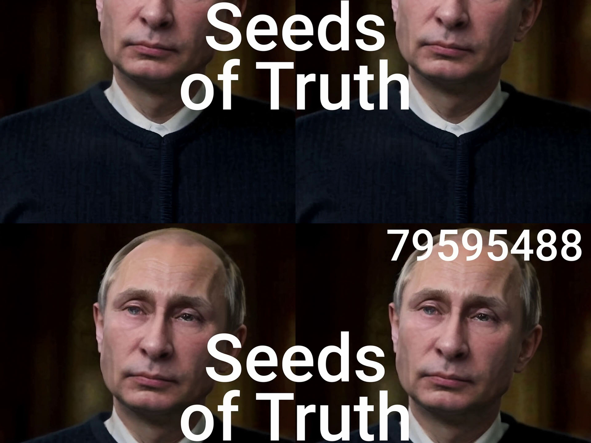 Seeds of Truth_Cover2.jpg
