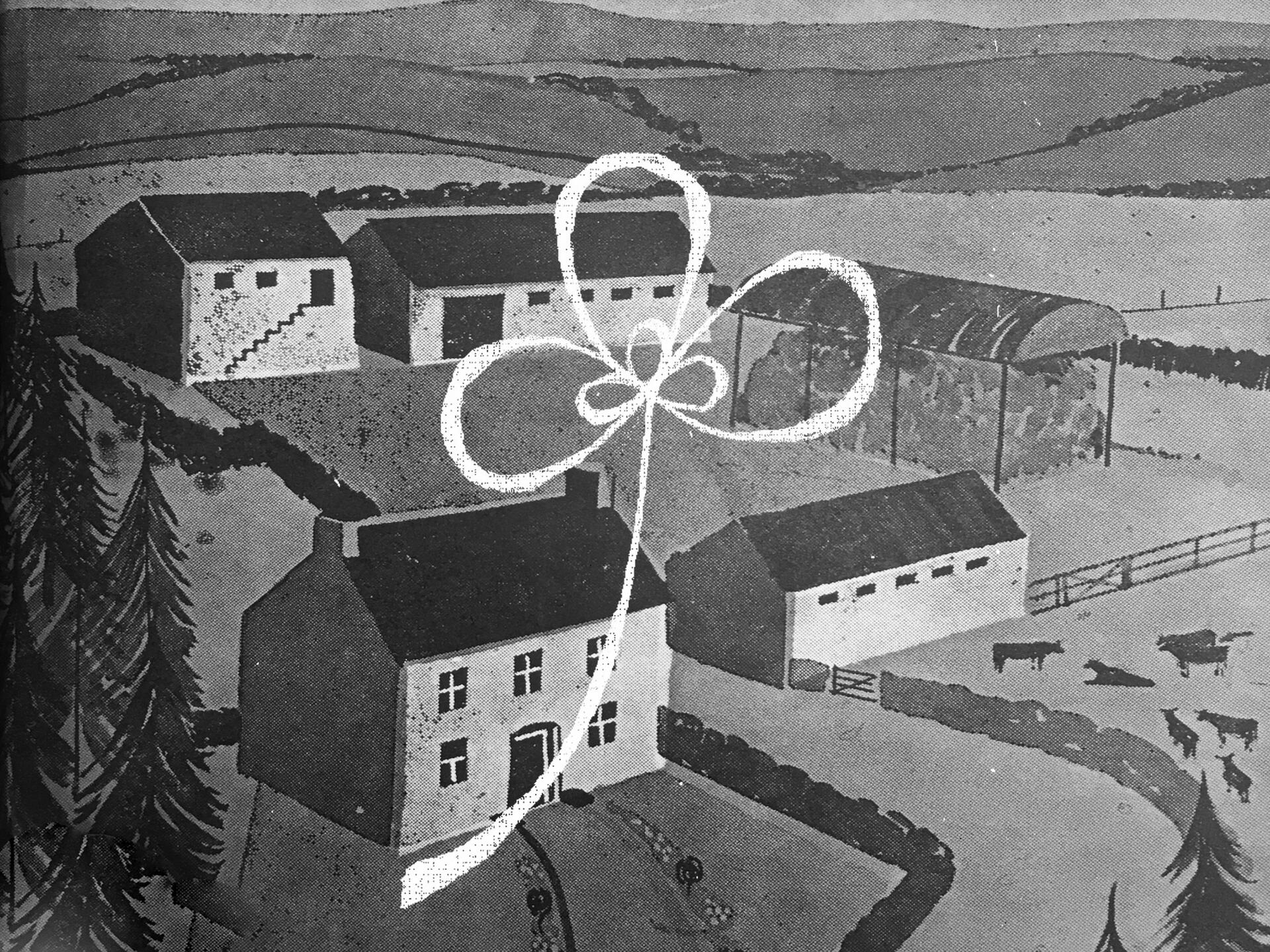clover superimposed.jpg