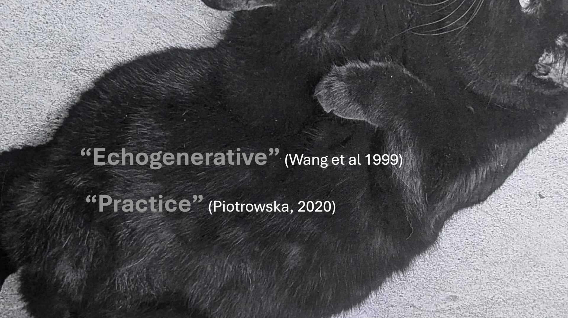 Echogenerative Practice.png
